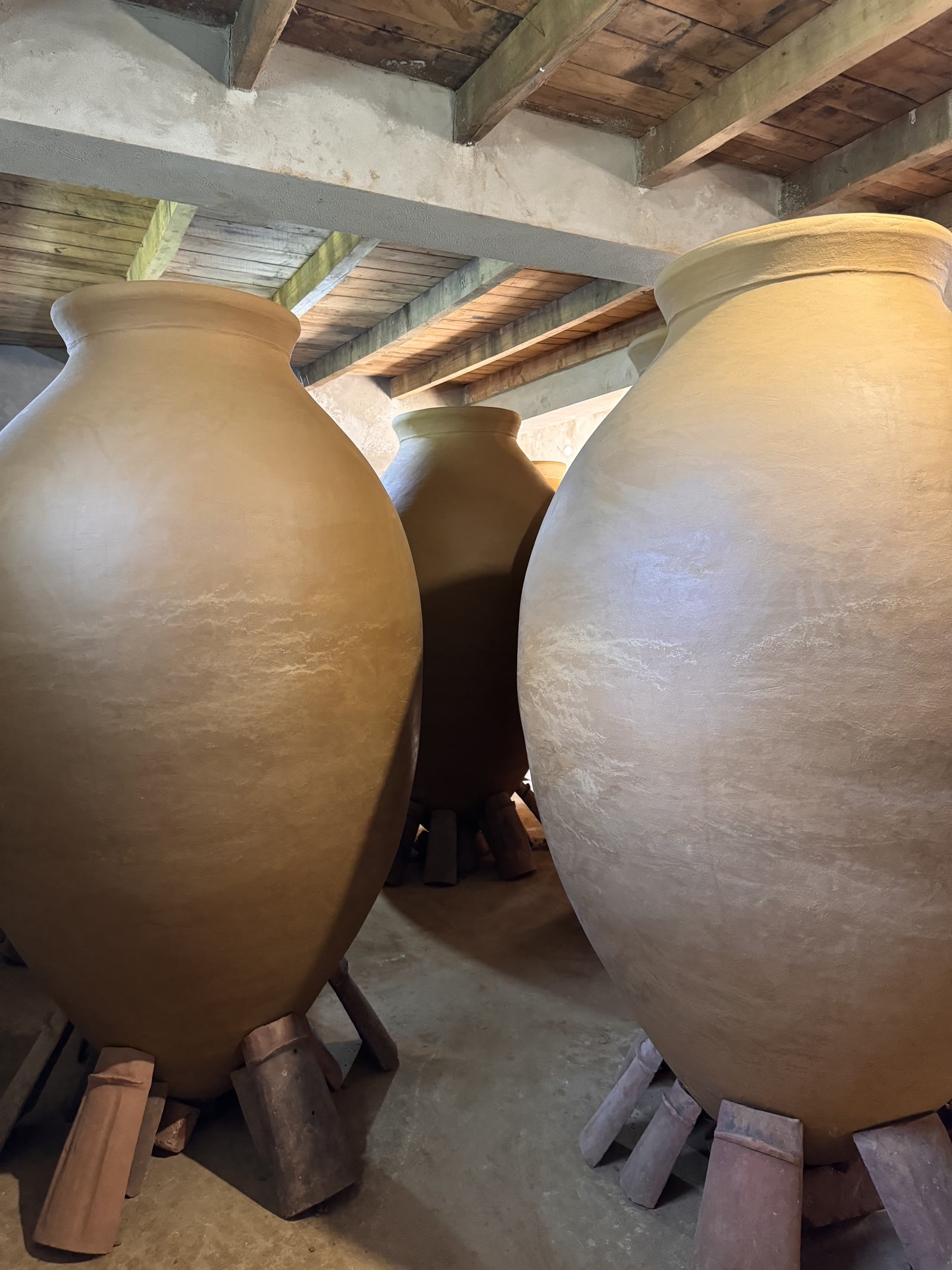 Clay amphorae